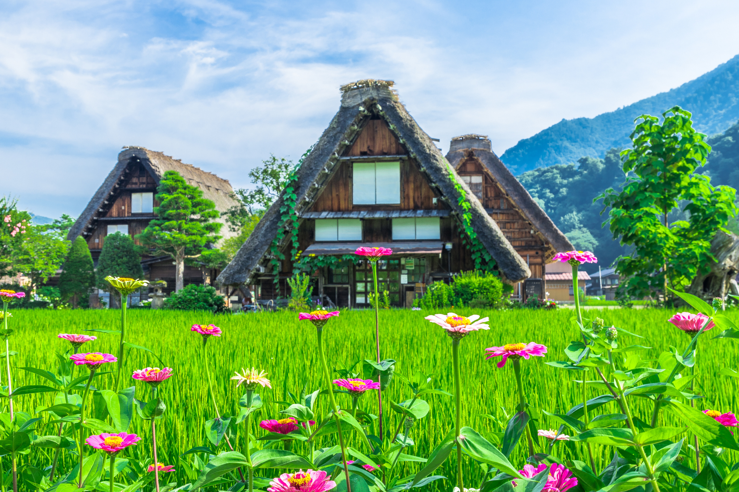 shirakawa (2).webp